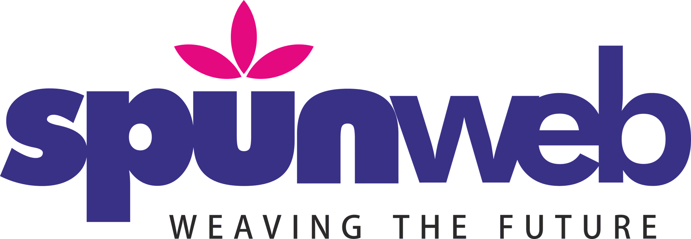 Spunweb Nonwoven Ltd.